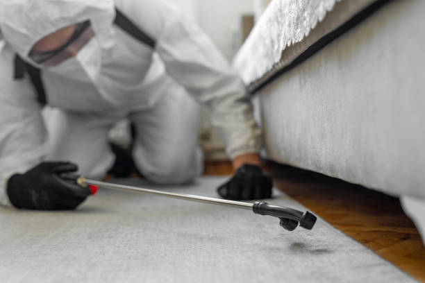 Professional Cockroach Control technician working in Hinton, OK