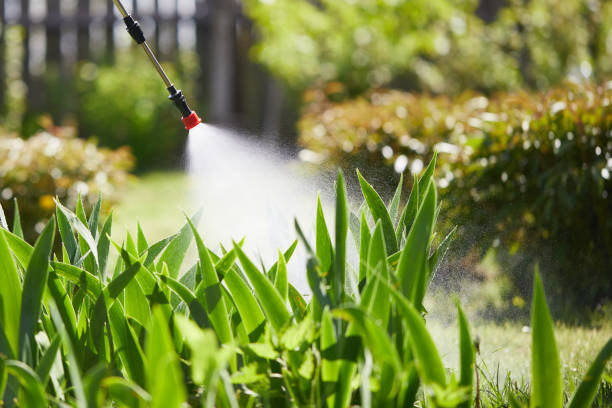 24/7 Emergency Cockroach Control experts in Hinton, OK