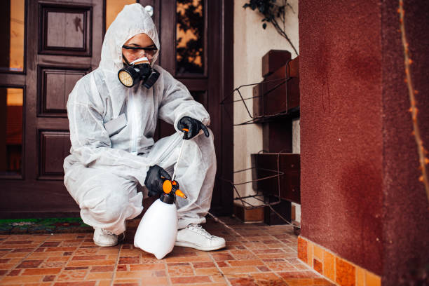 Reliable Cockroach Control contractor in Hinton, OK by Nex Pest Control